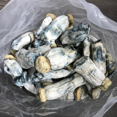 Yeti Mushrooms.png